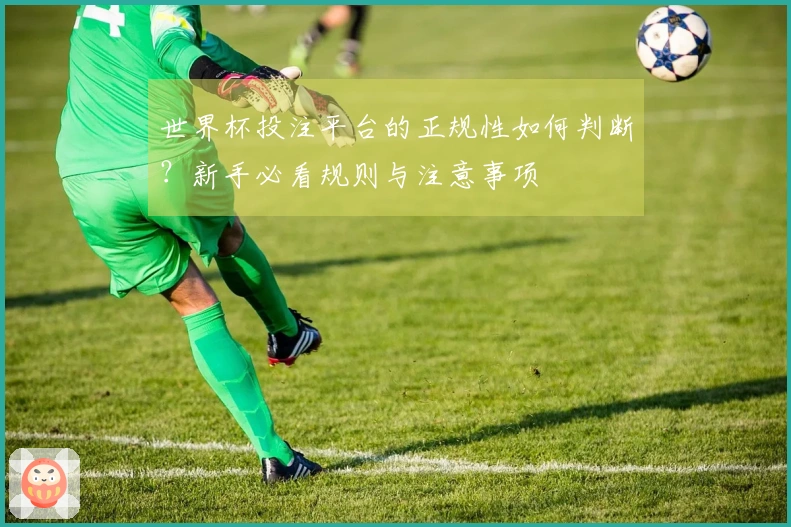 世界杯投注平台的正规性如何判断？新手必看规则与注意事项