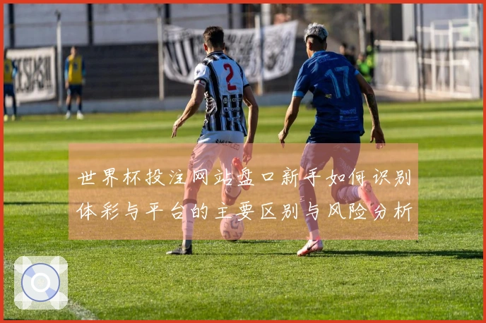 世界杯投注网站盘口新手如何识别体彩与平台的主要区别与风险分析