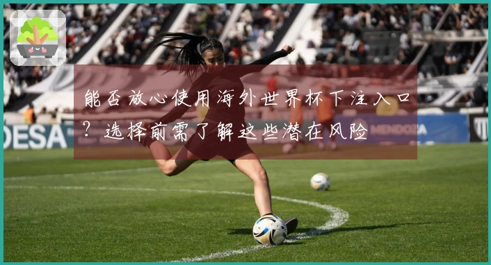 能否放心使用海外世界杯下注入口？选择前需了解这些潜在风险
