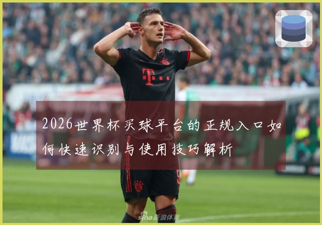 2026世界杯买球平台的正规入口如何快速识别与使用技巧解析