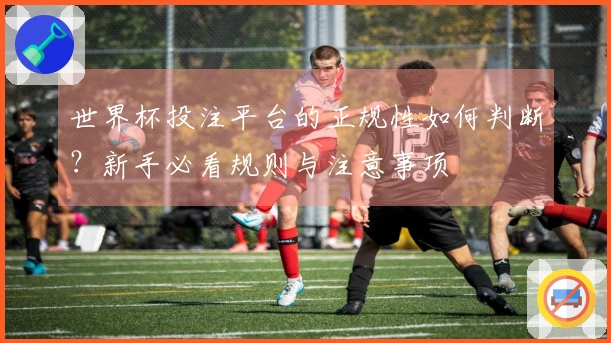 世界杯投注平台的正规性如何判断？新手必看规则与注意事项