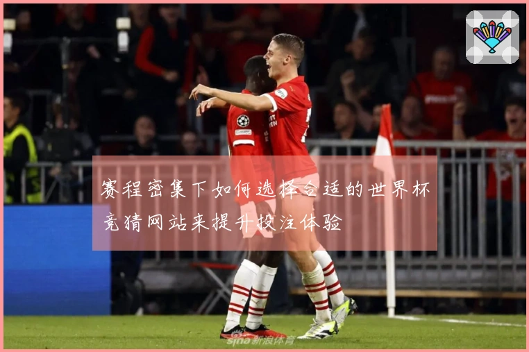 赛程密集下如何选择合适的世界杯竞猜网站来提升投注体验