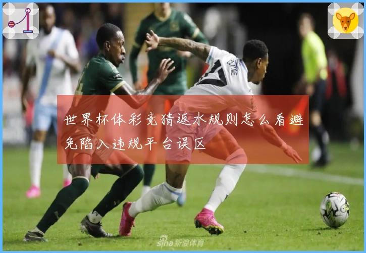 世界杯体彩竞猜返水规则怎么看避免陷入违规平台误区
